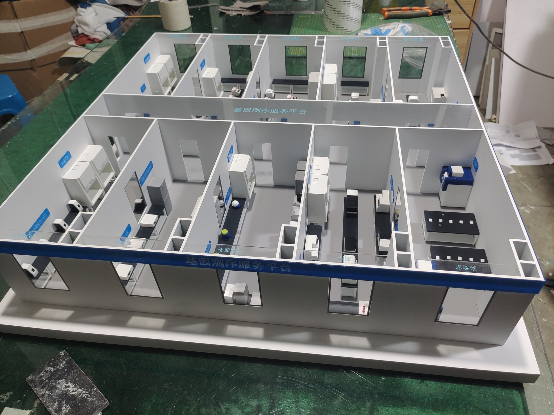 Genetic sequence.jpg