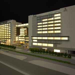 hospital model